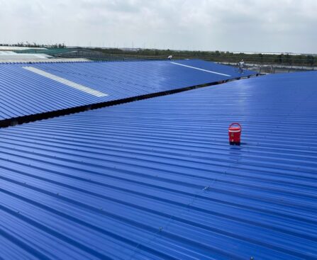 Tôn Nhựa 4 Lớp PVC/ASA: Giải Pháp Mới Cho Trang Trại Nuôi Tôm Tại Cà Mau