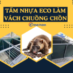 Tấm nhựa Eco làm vách chuồng chồn